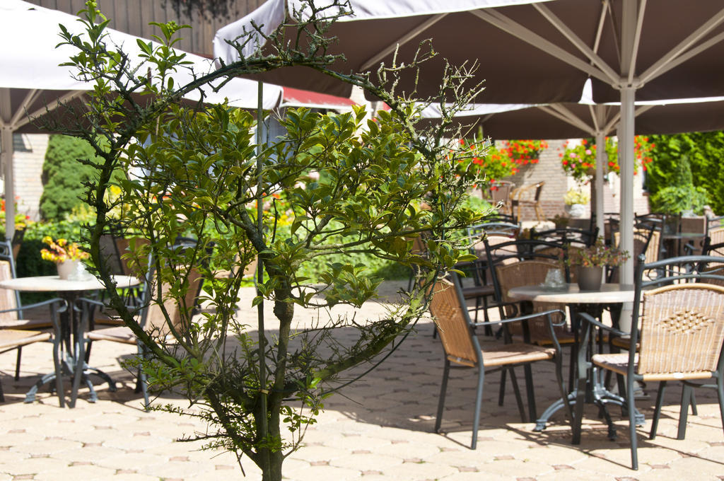 Hotel Steensel Dış mekan fotoğraf